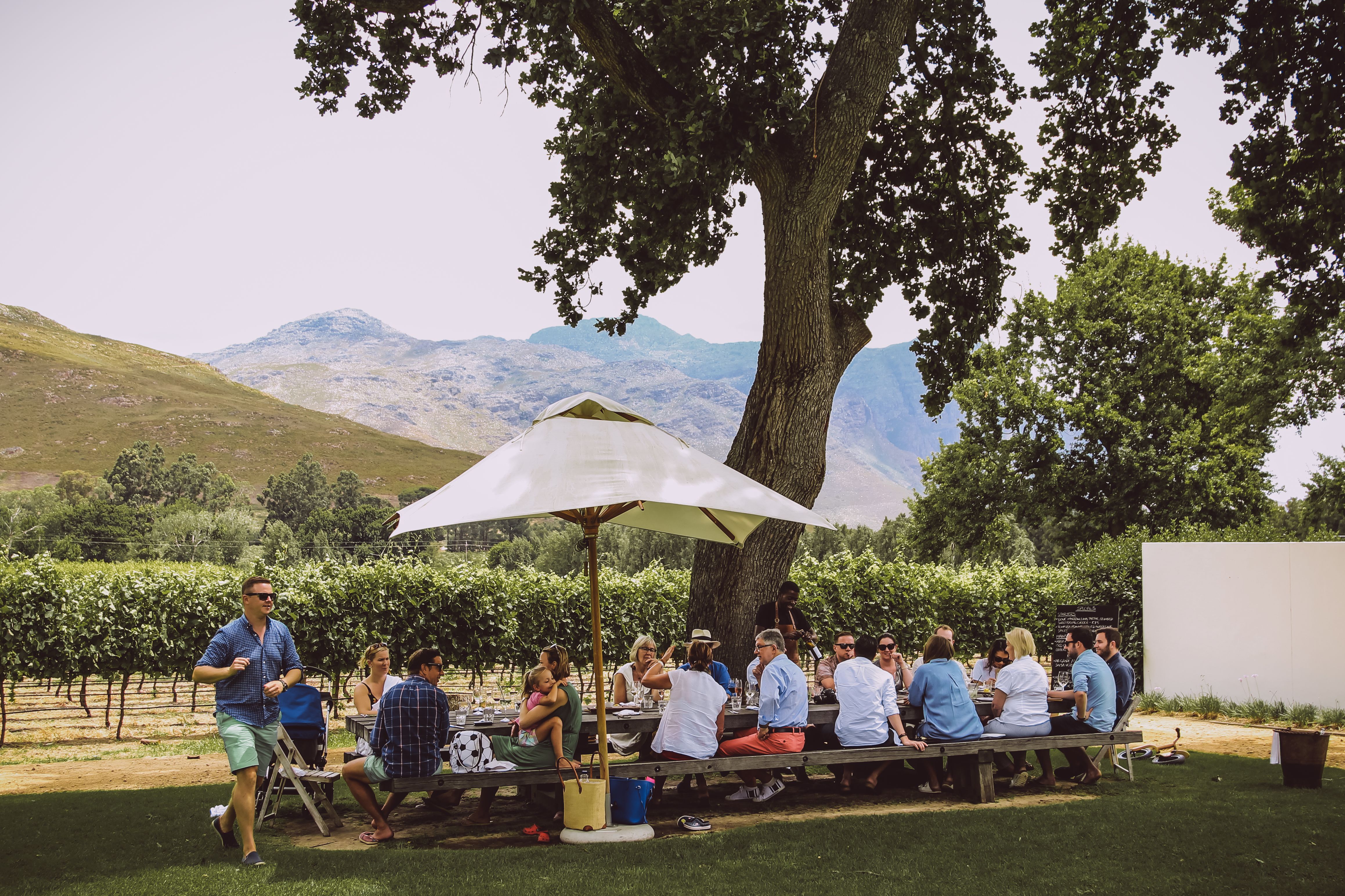Lunch at Franschhoek Wine Estate