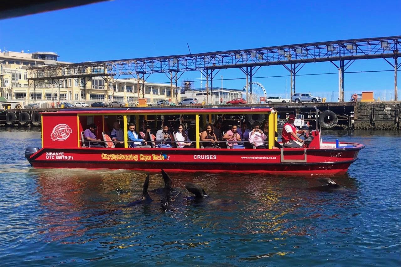 Boat Cruises & Adventures in Cape Town City Sightseeing