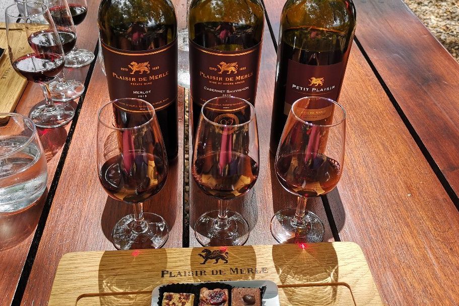 Wine tasting at Plaisir de Merle