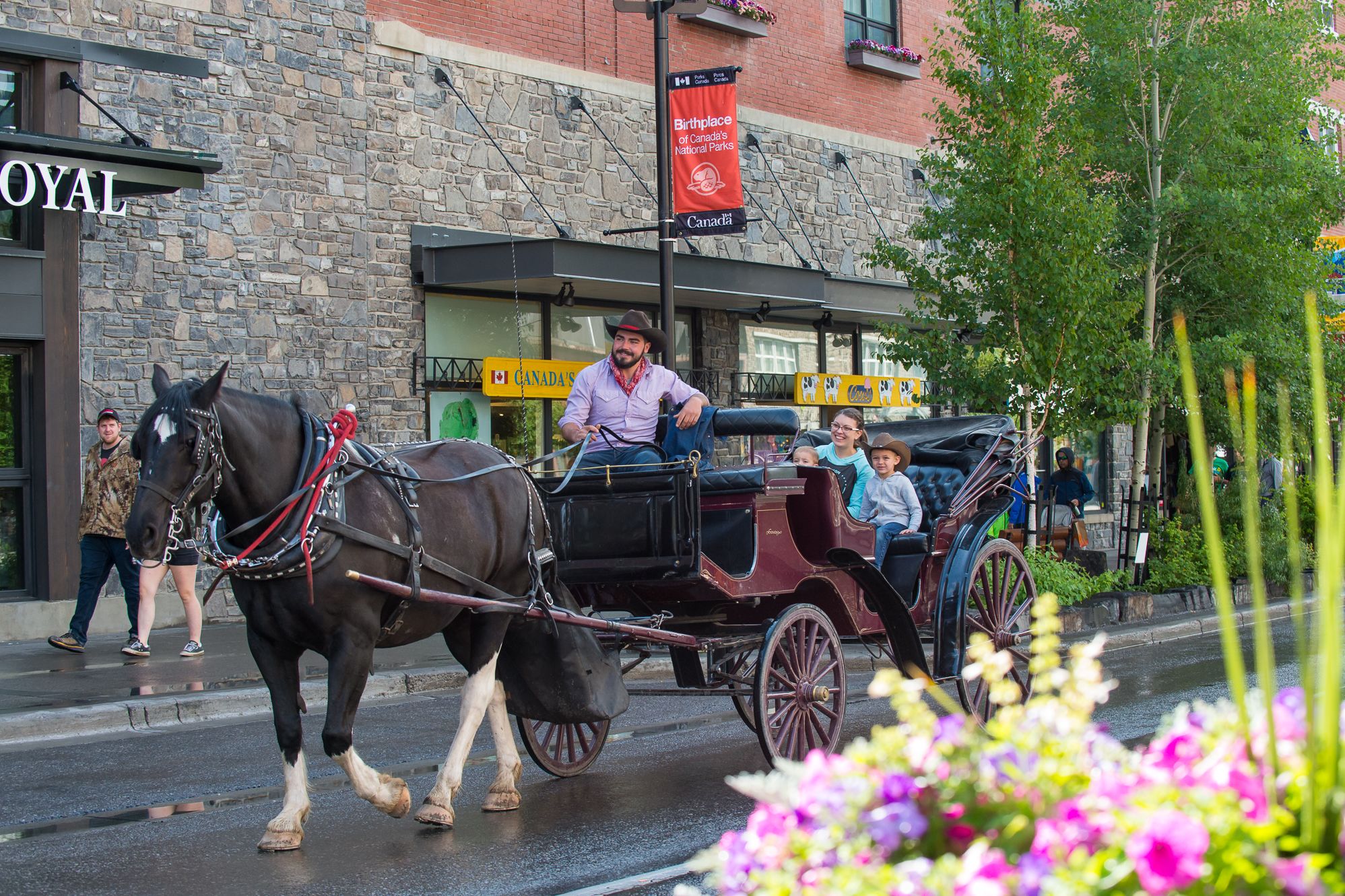 private-carriage-ride