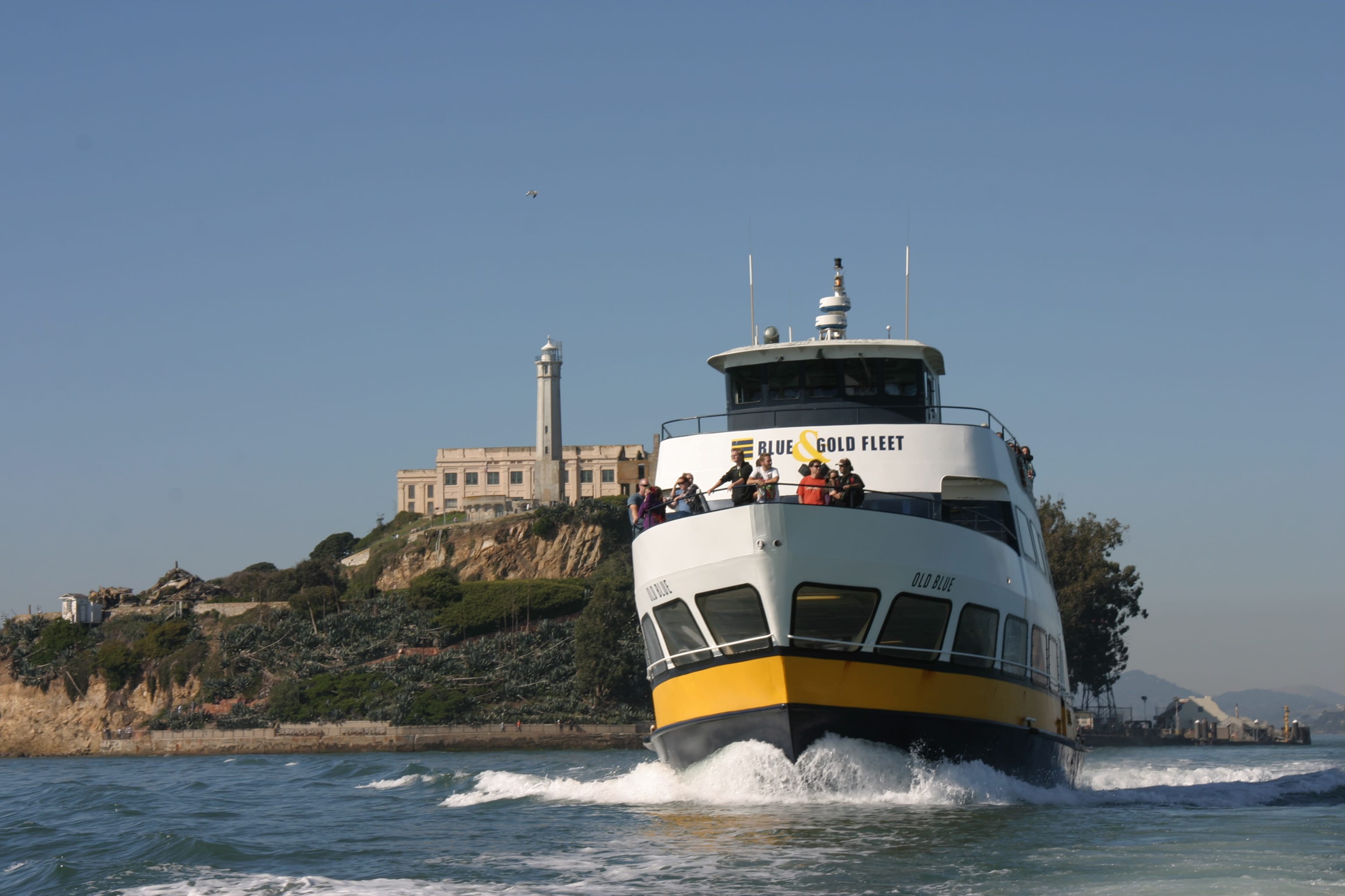 sf bay boat tours