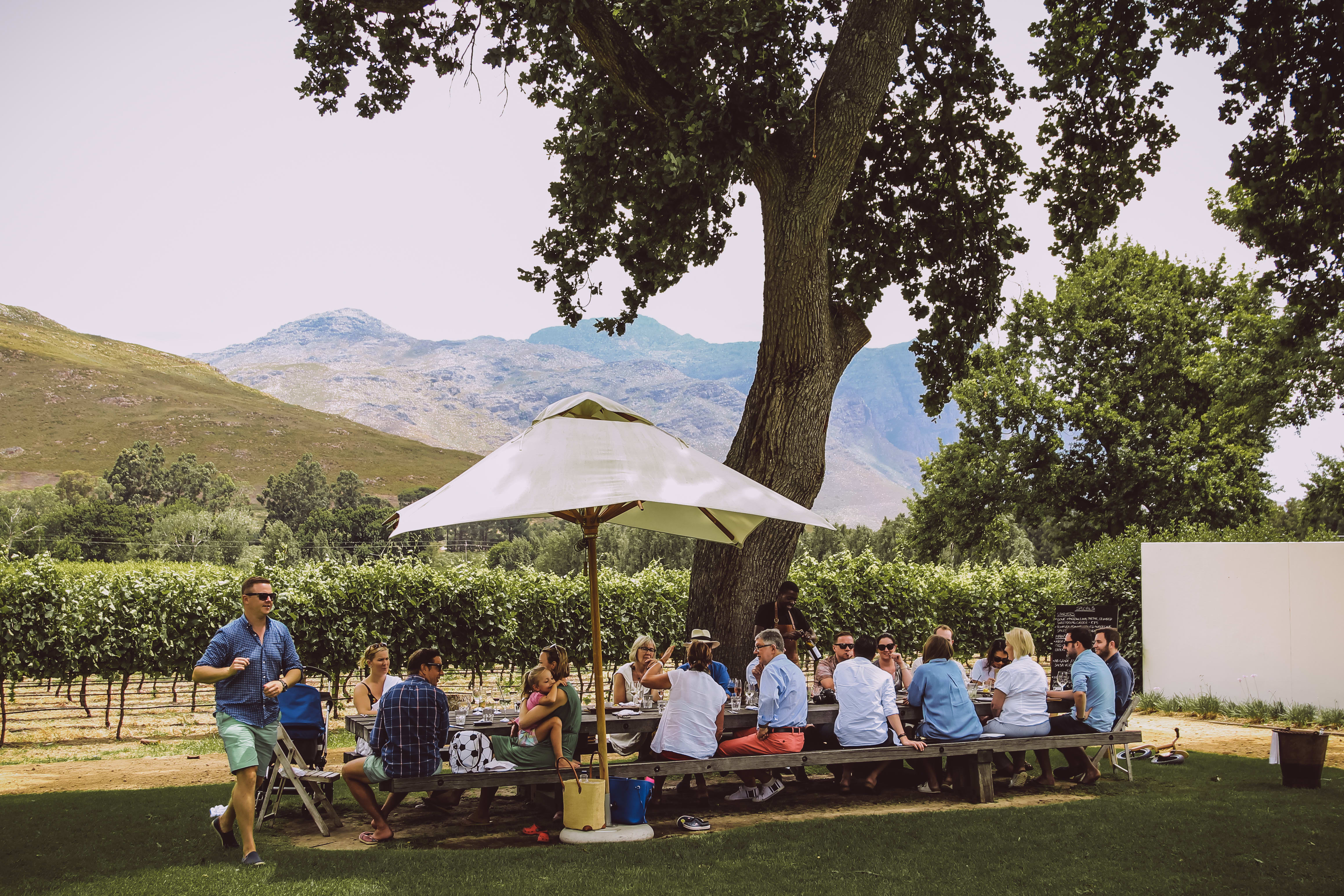 Lunch at Franschhoek Wine Estate