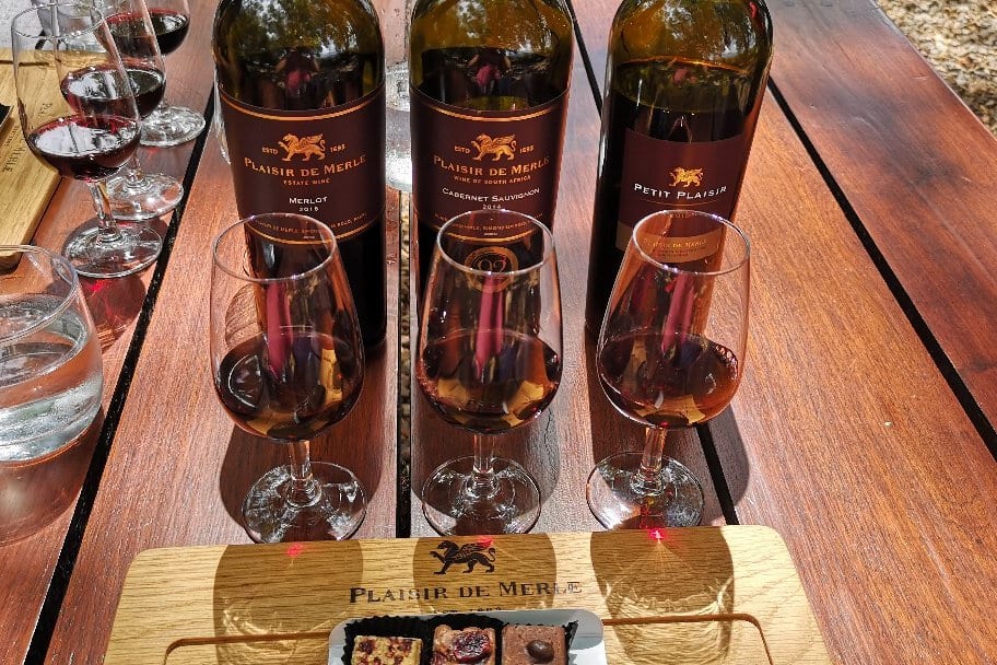 Wine tasting at Plaisir de Merle