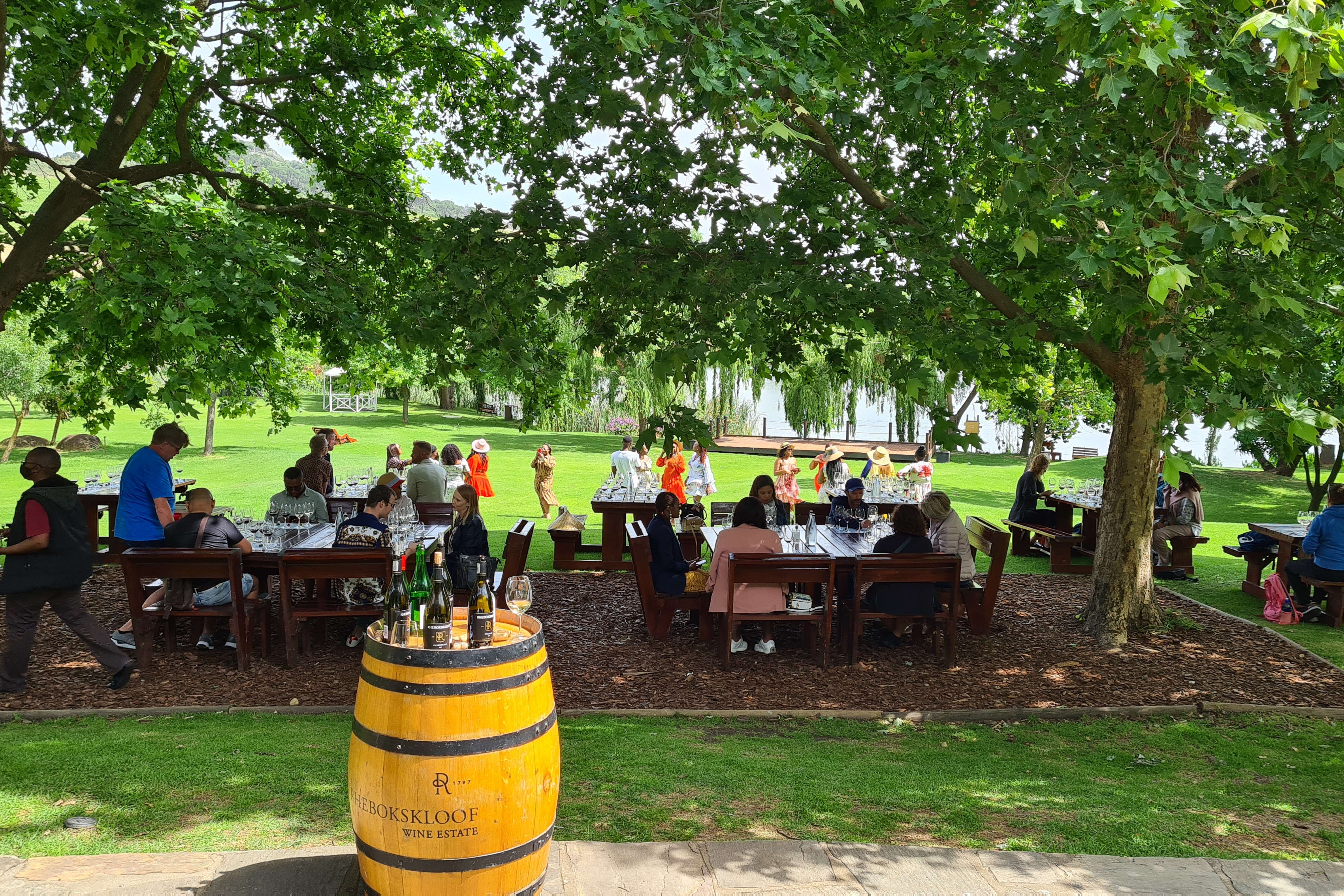 Wine Tasting at Rhebokskloof