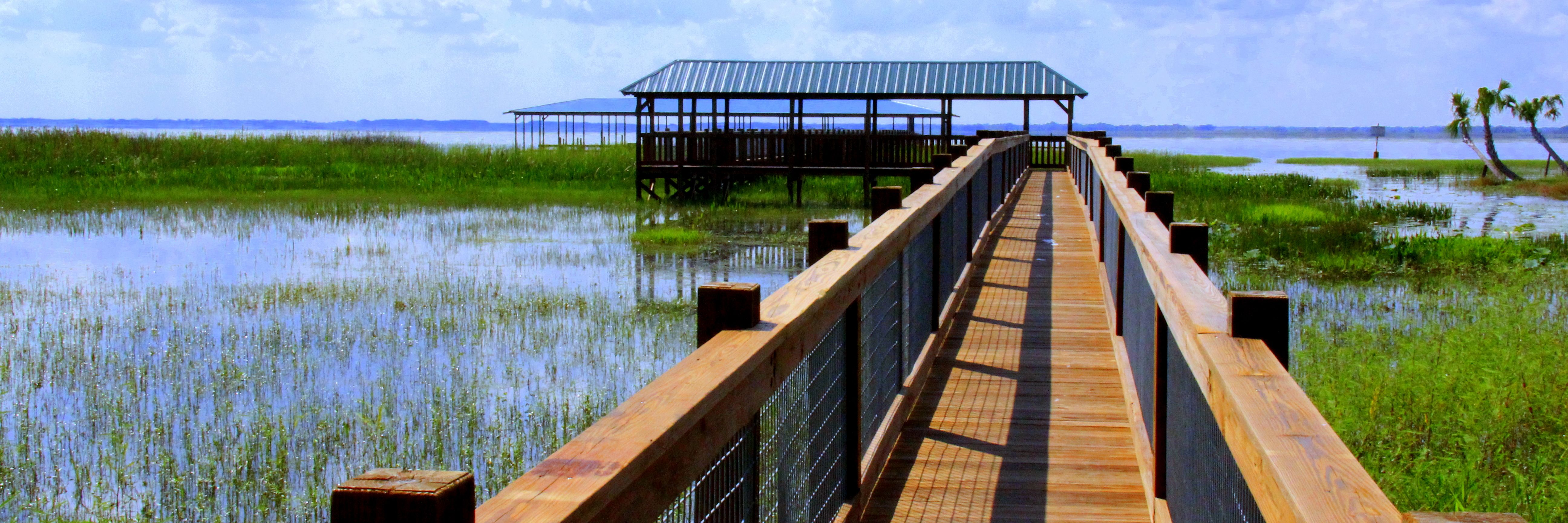 1/2 Day Everglades with Safari Park Admission