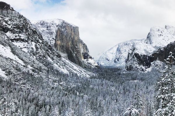Yosemite Winter Tour From San Francisco Extranomical Tours