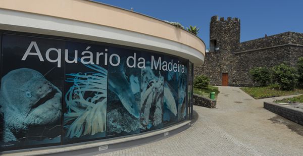 Madeira Aquarium