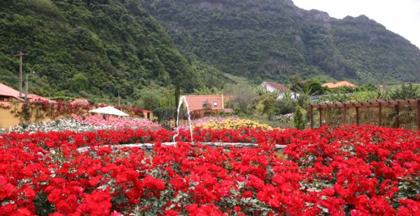 Quinta do Arco Rose Garden
