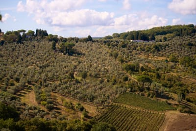 Immagine del prodotto 4