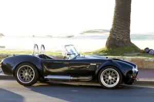 Cobra Half-day experience