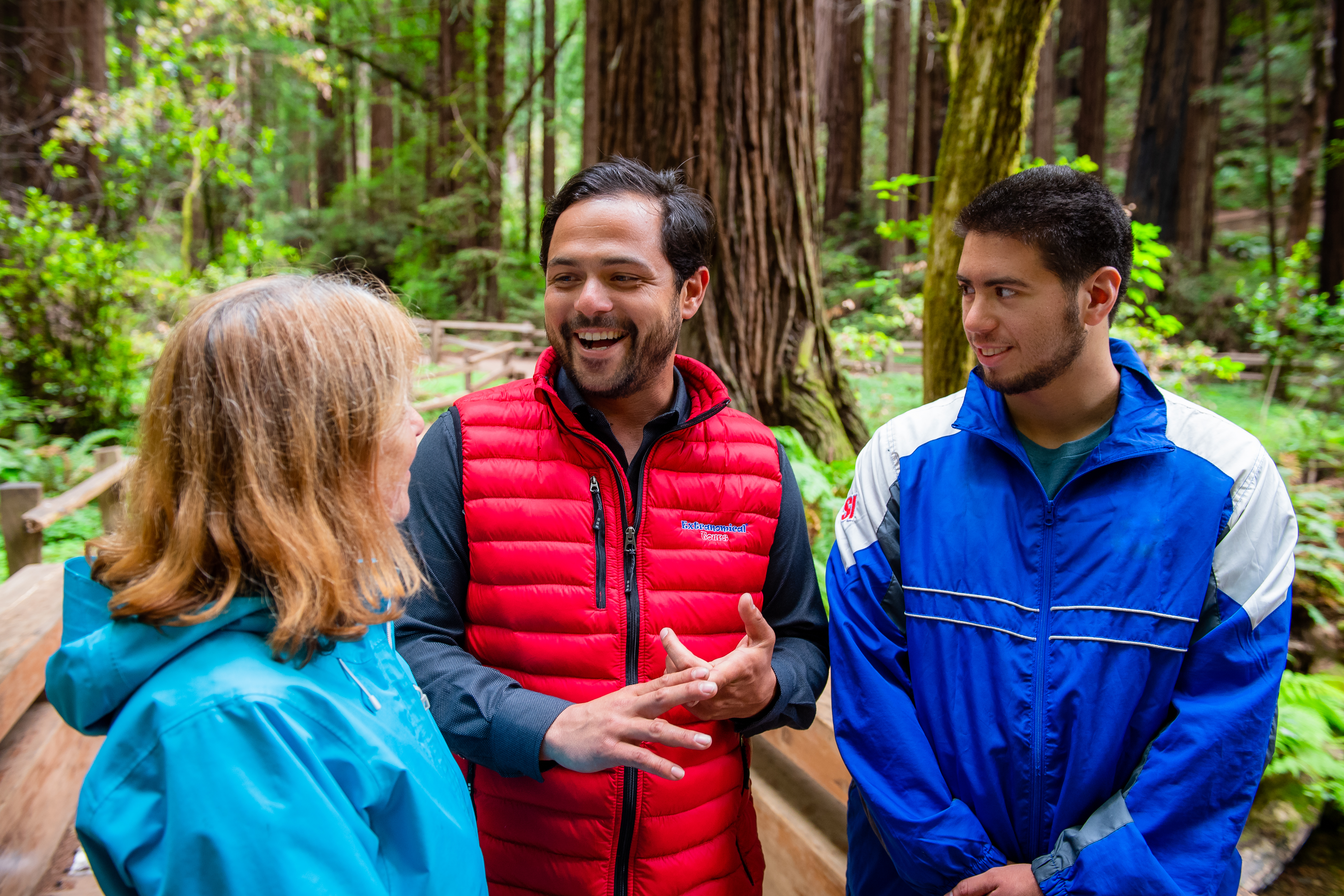 Excursión por la Mañana a Muir Woods y Sausalito - Alojamientos en San Francisco