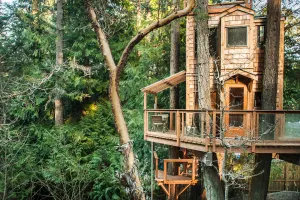 Treehouses
