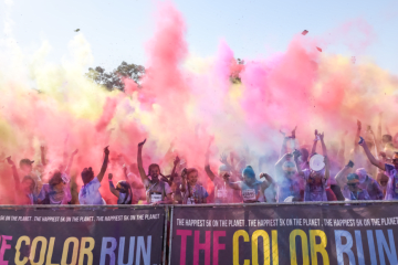 With so much to do in Cape Town this November - How will you choose?