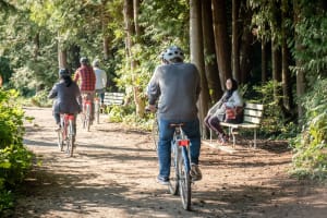 Cycle paths & trails