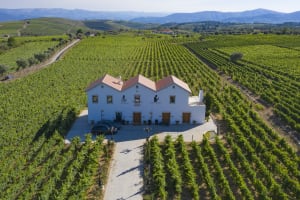 Quinta da Avessada