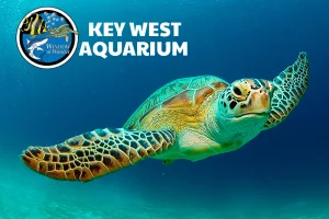 Key West Aquarium