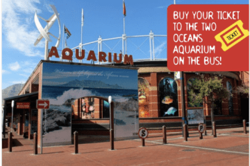 Two Oceans Aquarium: City Sightseeing Red Bus Stop 1
