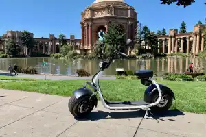 Phat Scooter - 1 Hour Tour