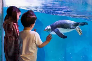 LEGOLAND Discovery Centre Birmingham & SEA LIFE Birmingham