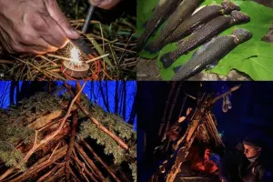 Wilderness Survival Hike - Full Day in English