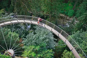 Vancouver City + Capilano Suspension Bridge Tour