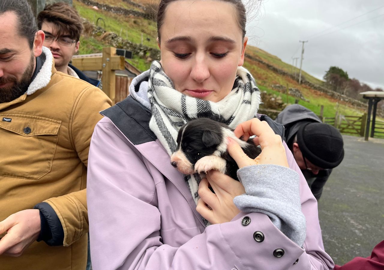 Tour del Connemara da Galway con Abbazia di Kylemore e dimostrazione di cani da pastore - Alloggi in Galway
