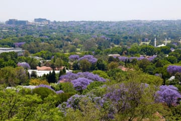 VIDEO: The best way to see Johannesburg!