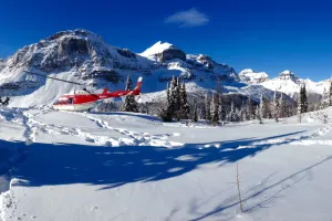 Marvel Pass Private Helicopter Tour