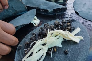 Blue Corn Tortillas