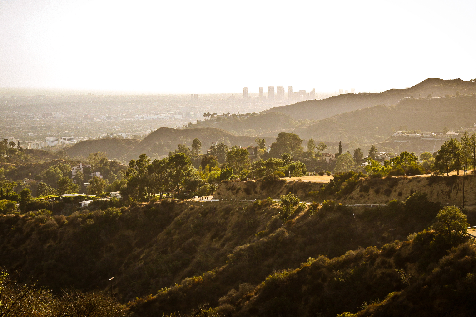 Hollywood Sign and Griffith Park Hike Tour in Small Group - Accommodations in Los Angeles