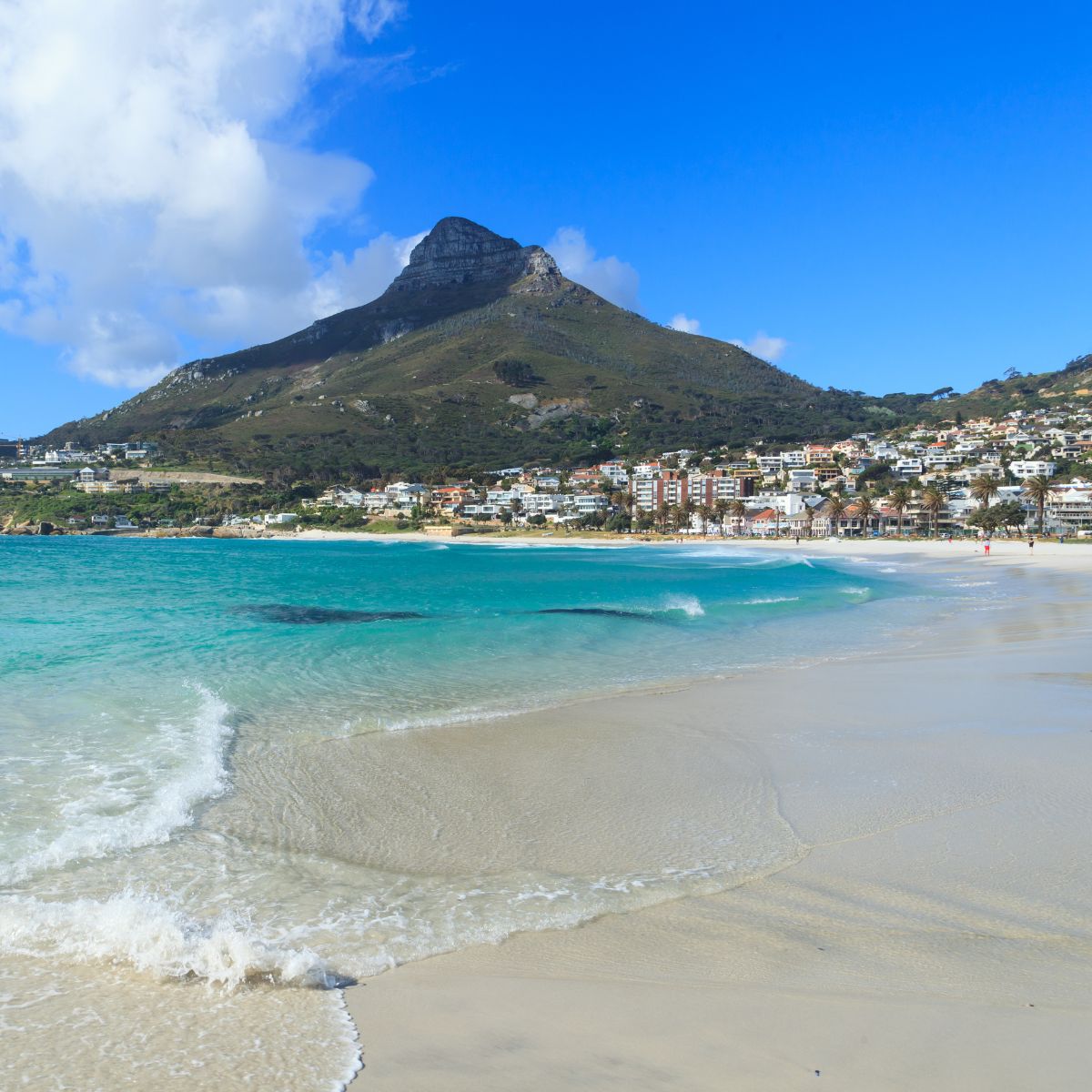 Visit the famous Camps Bay beach