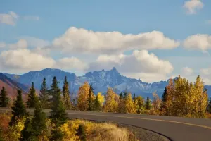 Historic Denali Guided Adventure