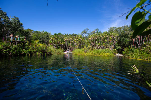 CENOTE TRAIL BIKE TOUR