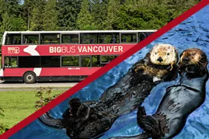 Vancouver 48 Hour Hop-On, Hop-Off + Vancouver Aquarium Admission