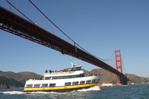 San Francisco Combo Muir Woods and Bay Cruise