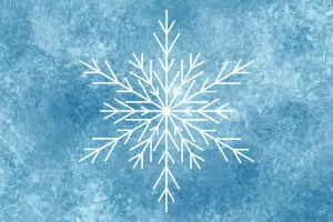 Frozen Ballet School