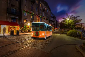Holiday Sights and Festive Nights