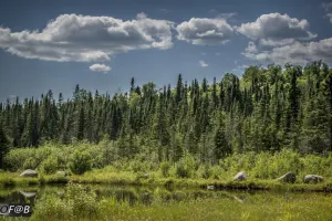 Fishing - Private lac rental