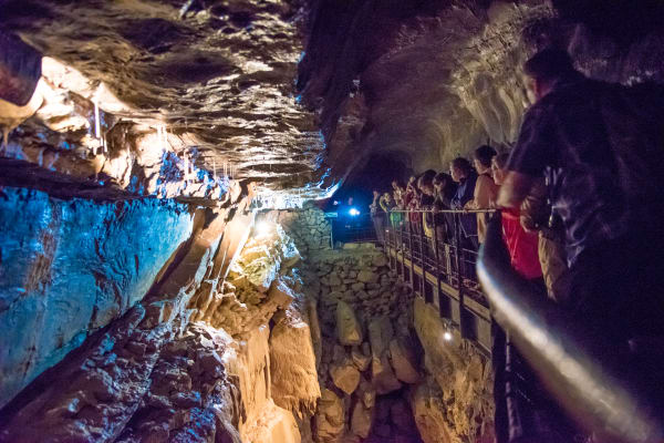 Optional underground guided tour at the Ailwee Cave