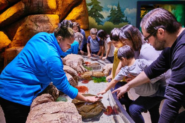 A group in the SEA Life Aquarium