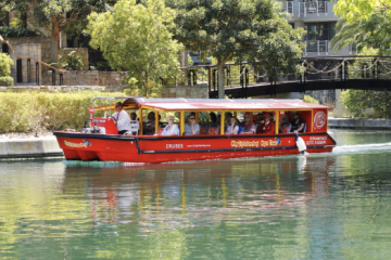 A Perfect Family Outing in Cape Town: Cruise With The Kids