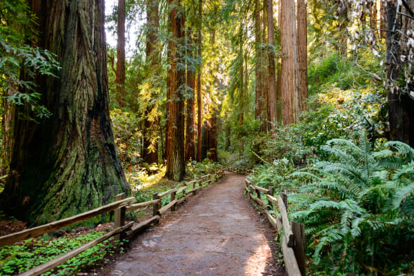 Park entrance fee is included in tour price!