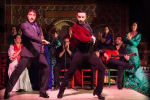 FLAMENCO SHOW MADRID TORRES BERMEJAS