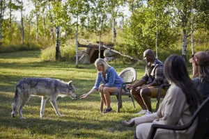 Wolfdog Interactive Tour