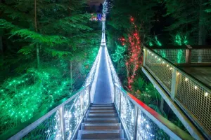 Vancouver City + Capilano Canyon Lights