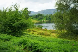 Private Lake District from Liverpool and Chester