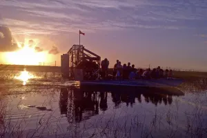 Big Bys Miami Everglades Night Experience