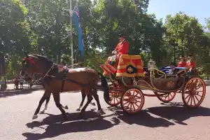 Changing of the Guard / British Royalty Walking Tour