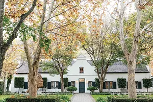 Grape to Wine - Small group tour