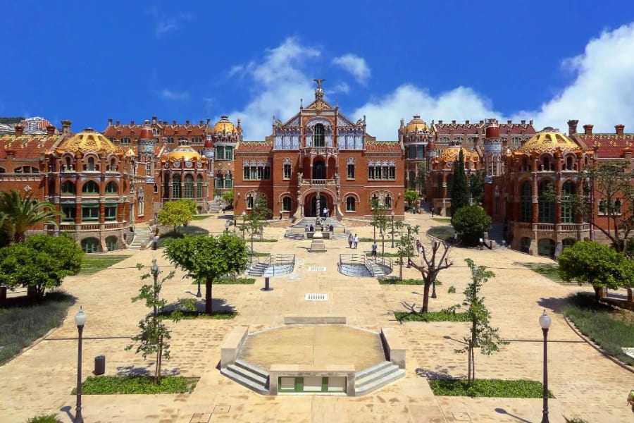 Main Image